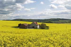 Osnabrücker Land: mooie natuur met een rijke geschiedenis