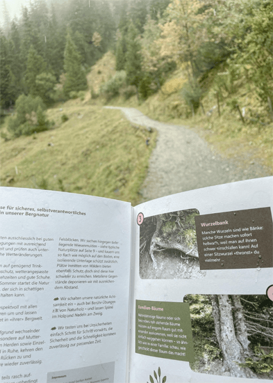 Het natuur-avonturenpad maakt een wandeling net wat interessanter. © Gorfion Familotel Liechtenstein