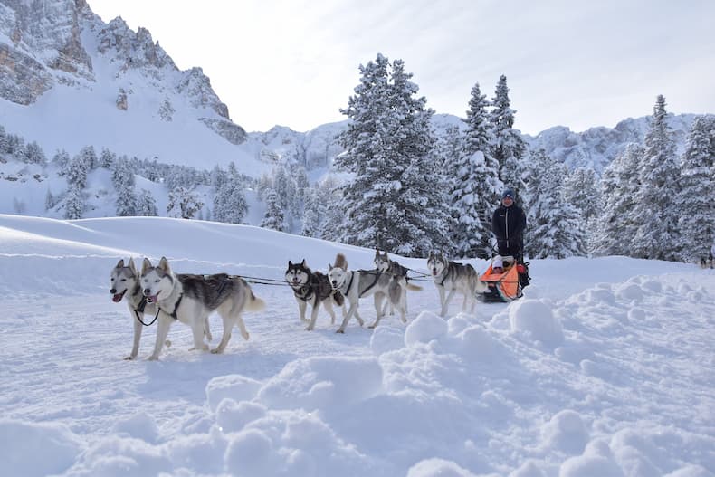 Naast skiën en langlaufen kun je in Kronplatz ook hondensledetochten maken. © Greta Bonavoglia / Dolomitenregion Kronplatz