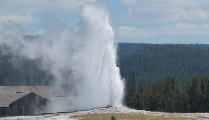 Een min of meer klokvaste uitbarsting van Old Faithful is één van de hoogtepunten van een bezoek aan Yellowstone National Park © Nico van Dijk
