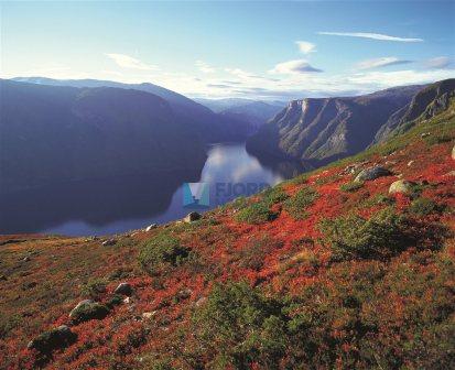 Voor de herfst: met Fjord Line naar de Indian Summer rond fjord en fjell