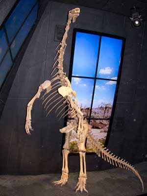 Dinoskelet in het Geocenter Møns Klint © Nico van Dijk