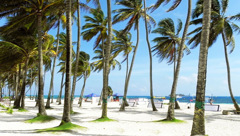 Wordt het een vakantie op een tropische bestemming of blijf je dichter bij huis? © Quinn Kampschroer / Pixabay