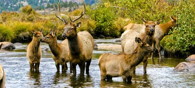 Rocky Mountain National Park viert 100e verjaardag