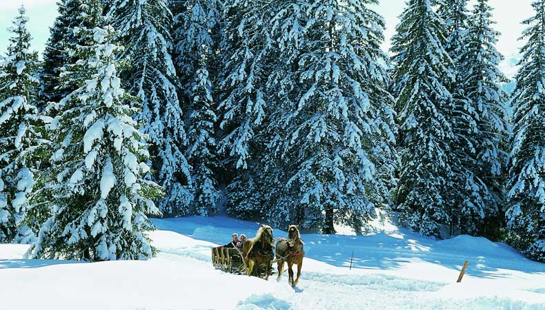 Met een arreslee of tijdens een winterwandeling, al dan niet met een wandelgids, genieten van de natuur in de Wildkogel-Arena en Naturpark Hohe Tauern. © Wildkogel-Arena